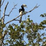 Photo taken by Edit M