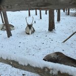 Photo taken by Jennifer D