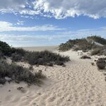 Photo taken by Amy Z