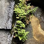 Photo taken by Eliza M