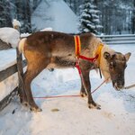 Photo taken by Moses K