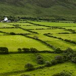 Photo taken by Jean M