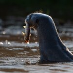 Photo taken by Matt W