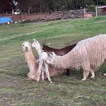 Photo taken by Norma G