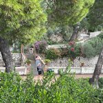 Photo taken by Lori K