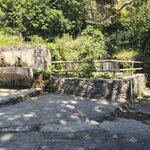 Photo taken by Candi S