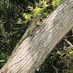 Photo taken by Donna G