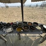 Photo taken by Marianne O