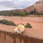 Photo taken by BARBARA A