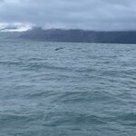 Photo taken by Felicia L