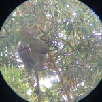 Photo taken by ted m