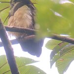 Photo taken by Anna L