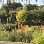 Photo taken by Vicki Lynn M