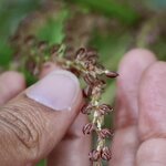 Photo taken by Miranda M