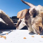 Photo taken by Bill R