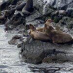 Photo taken by Mike C