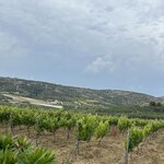 Photo taken by Edwin T