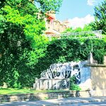 Photo taken by Daniella G