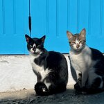 Photo taken by Lisa D