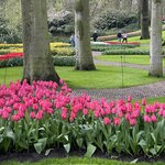 Photo taken by Shannon F