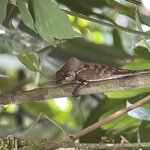 Photo taken by Kate R