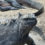 Photo taken by Mark A