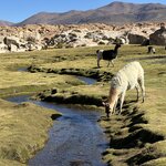 Photo taken by Mai S