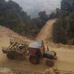 Photo taken by Amy S