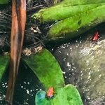 Photo taken by mariam a