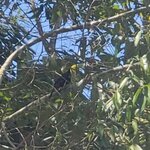 Photo taken by Lisa R