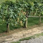 Photo taken by Patricia B