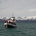 On our whale tour | Photo taken by Kim C