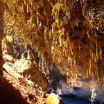 Photo taken by Dennis H