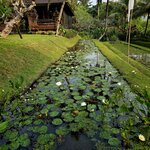 Photo taken by Nancy P