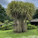 Photo taken by Hannah S