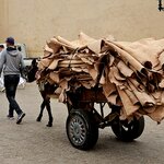 Photo taken by David M