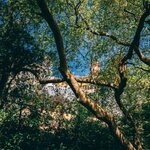 Photo taken by Kassie R