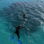 Photo taken by Lilly R