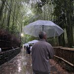 Photo taken by Alisa S