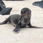 Photo taken by Jennifer A