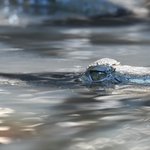 Photo taken by Graeme W