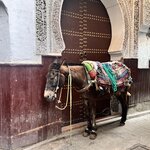 Photo taken by Vivianh H