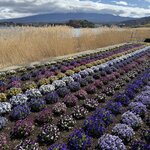 Photo taken by Hanna J