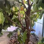 Photo taken by Darcy M