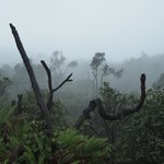 Puracé Valley | Photo taken by Peter G