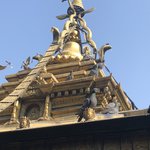 Photo taken by Victor R