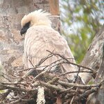 Photo taken by Insiyah K