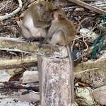 Photo taken by Jill M