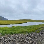 Photo taken by Eliza M