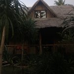 Qi Palawan.  | Photo taken by Segal A
